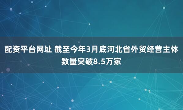 配资平台网址 截至今年3月底河北省外贸经营主体数量突破8.5万家