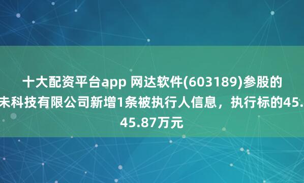 十大配资平台app 网达软件(603189)参股的上海时未科技有限公司新增1条被执行人信息，执行标的45.87万元