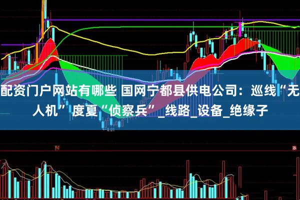 配资门户网站有哪些 国网宁都县供电公司：巡线“无人机” 度夏“侦察兵”_线路_设备_绝缘子