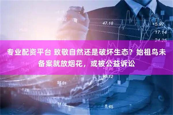 专业配资平台 致敬自然还是破坏生态？始祖鸟未备案就放烟花，或被公益诉讼